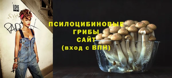 MDMA Няндома