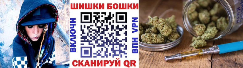 Купить закладки  Струнино  Бошки марихуана SATIVA & INDICA 